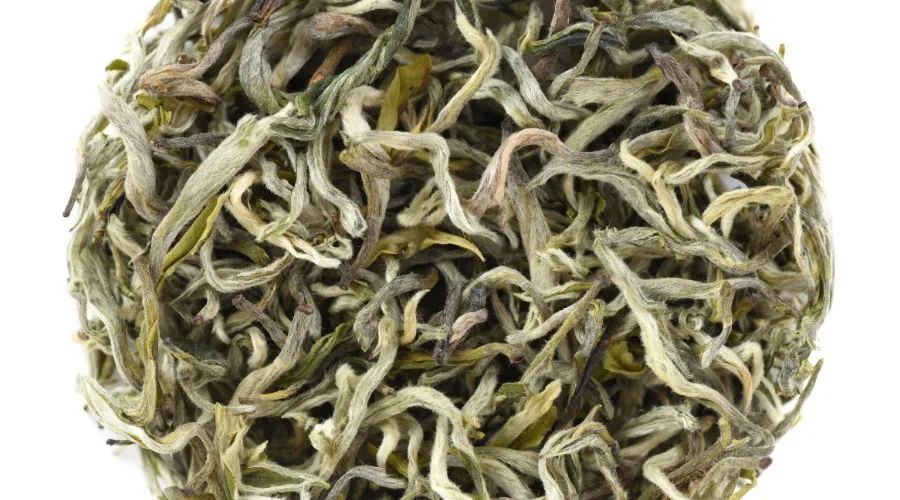 鹿苑茶