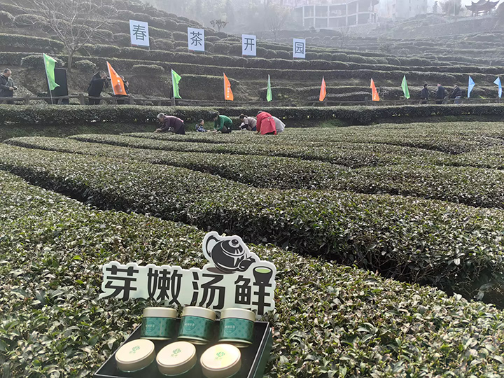 720  ---图5.jpg